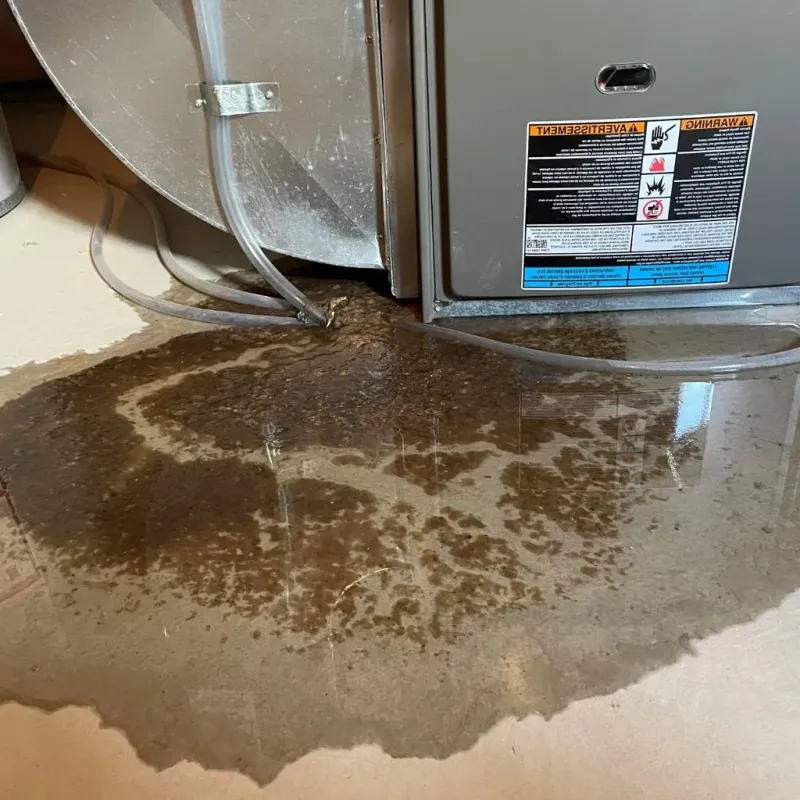 Pipe Burst and Leak Restoration in Crossett, AR