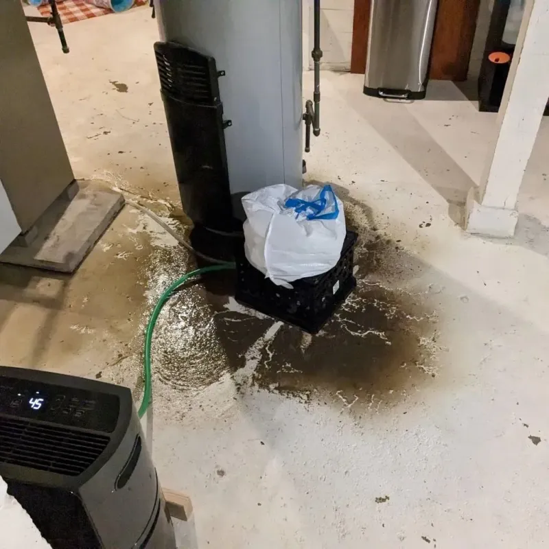 Sewage Backup Cleanup Service in Crossett, AR